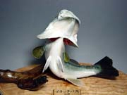 �Ǌ|���^�C�v�@��