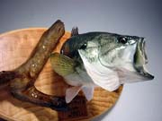 �Ǌ|���^�C�v�@��