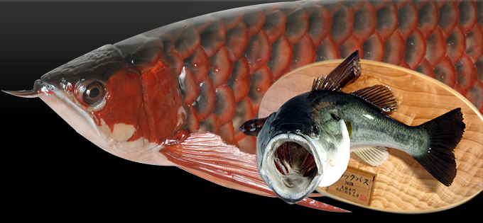 �䂠�������H�[