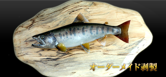 �I�[�_�[���C�h����