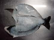 ����������@�E�͂����̍���