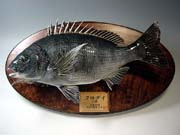 �Жʁ@����