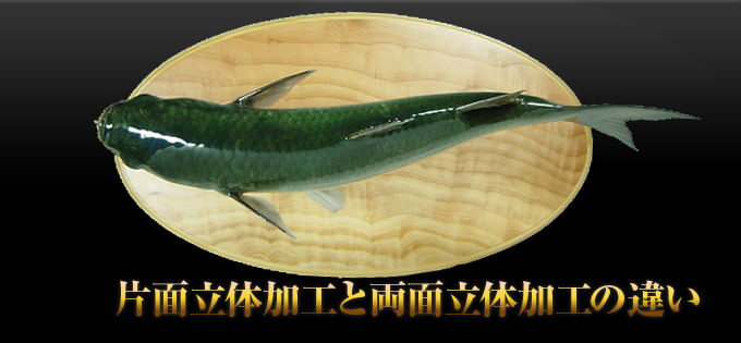 �Жʗ��̉��H�Ɨ��ʗ��̉��H�̈Ⴂ