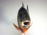 ���u���^�C�v�@��