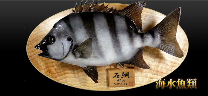 �C������