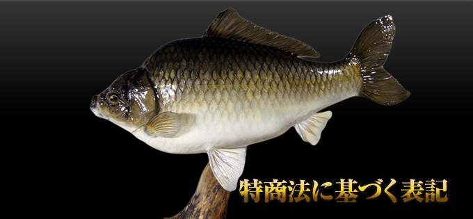 �����@�Ɋ�Â��\�L