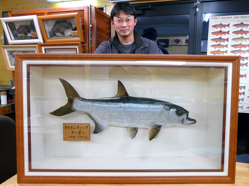 ���m�����q�s�@�x�D�h�l