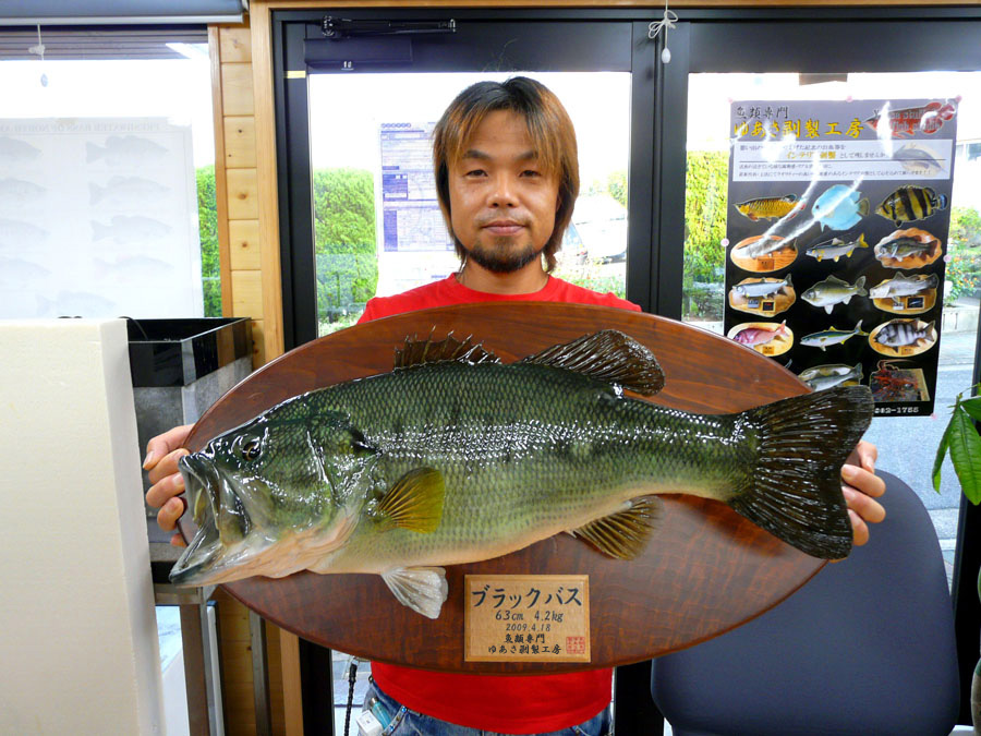 ���m�����É��s�@�x�D�h�l