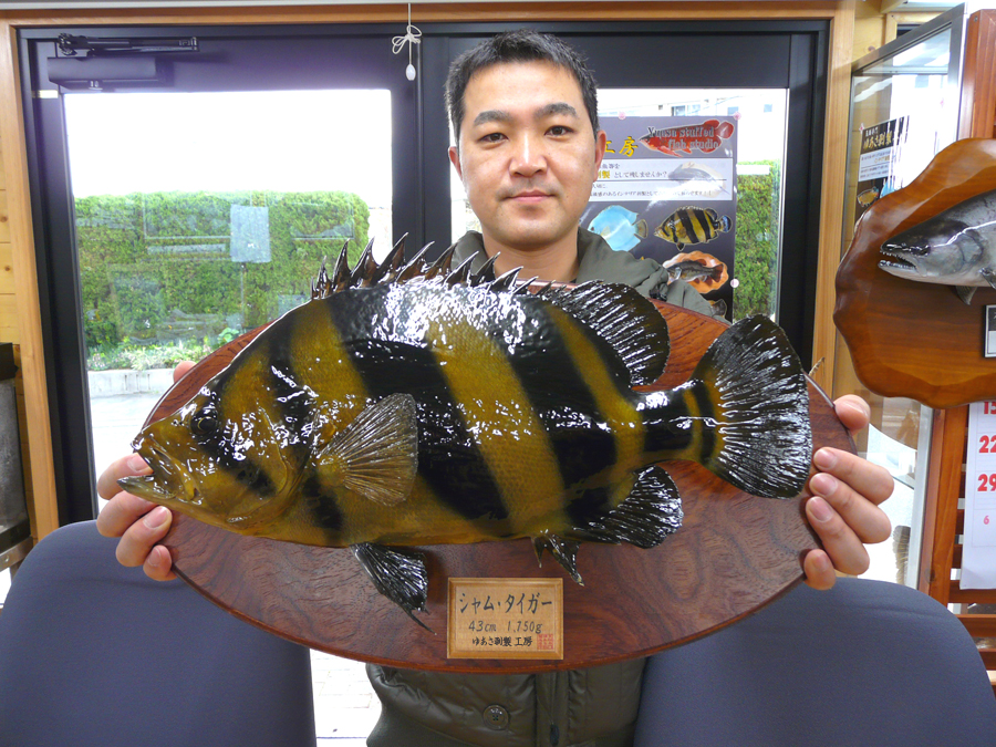 ���m���t����s�@�x�D�l�l