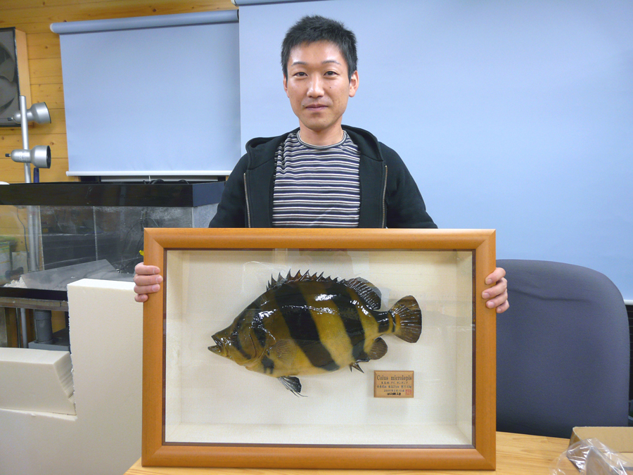 ���m������s�@�j�D�l�l