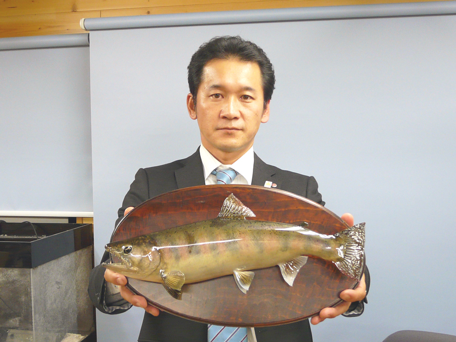 ���m�����i�s�@�e�D�l�l