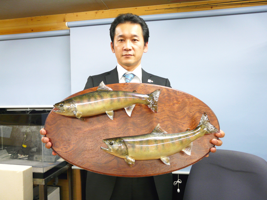 ���m�����i�s�@�e�D�l�l