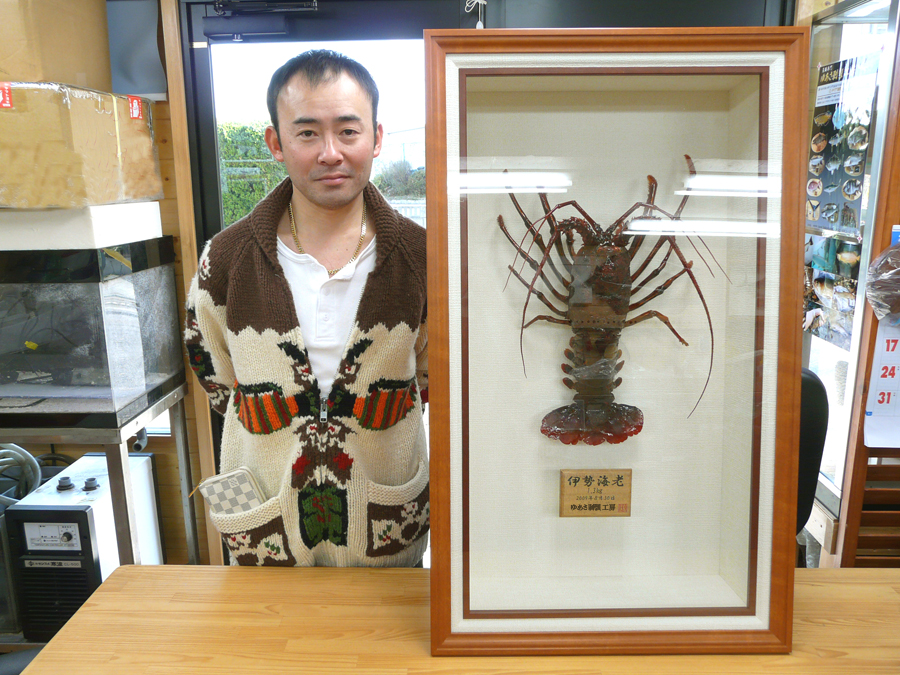 �É����l���s H.A�l