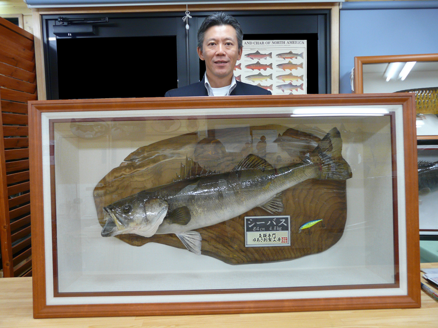 ���m�����É��s�@�j�D�j�l