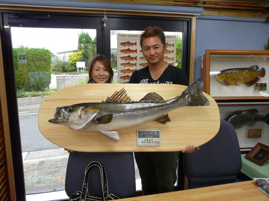 ���m������s�@�r�D�r�l