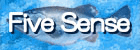 FiveSense